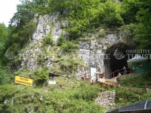 Pestera Dambovicioara Pestera Dambovicioara