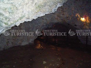 Pestera Dambovicioara Pestera Dambovicioara