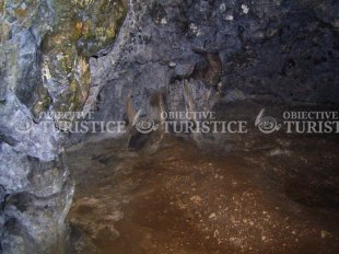 Pestera Dambovicioara Pestera Dambovicioara