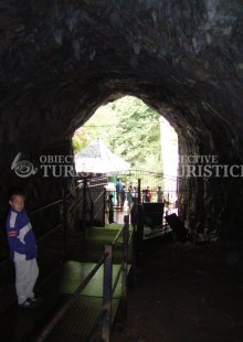 Pestera Dambovicioara Pestera Dambovicioara