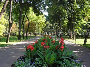 Gradina Mare