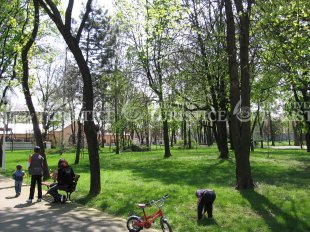 Gradina Mare