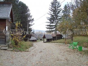 Parcul Etnografic Romulus Vuia