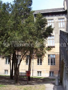 Muzeul Zoologic al Universitatii Babes-Bolyai