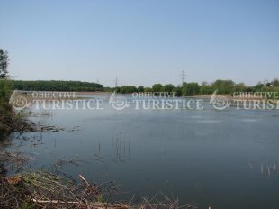 Padurea si lacul Cernica