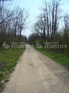 Lacul si padurea Caldarusani