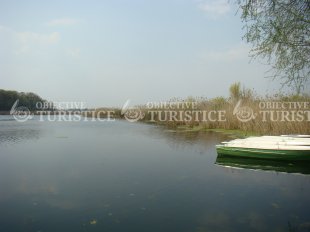 Statiunea Snagov Statiunea Snagov