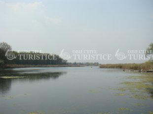 Statiunea Snagov Statiunea Snagov