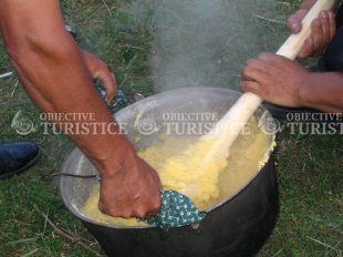 Festivalul Bujorului
