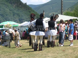 Festivalul Bujorului