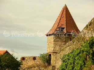 Turnul ocotogonal (Cetatea Sebesului)