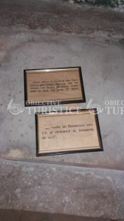 Manastirea Arbore Manastirea Arbore