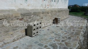 Manastirea Arbore Manastirea Arbore